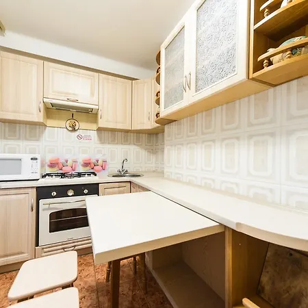 On Lesi Ukrainky Blvd Apartment